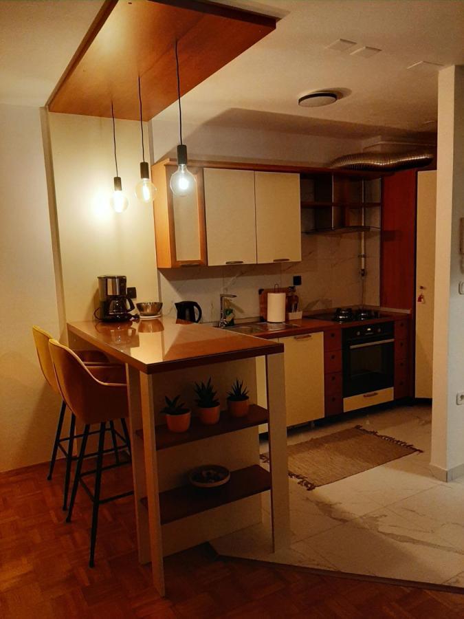 Apartment Relax With Infrared Sunshower Varaždin Екстериор снимка